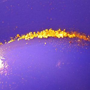 Meet your Posher, Kenny